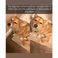 Image result for Love Dog Memes 2018