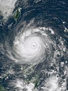 Image result for Typhoon Haima