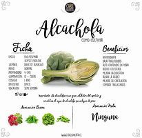 Image result for slcachofa