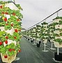 Image result for Vertical Farming