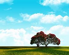 Image result for Nature Photoshop