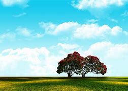 Image result for Best HD Background for Adobe Photoshop