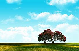 Image result for Free Backgrounds for Adobe Photoshop