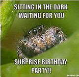 Image result for Happy Birthday Spider Meme