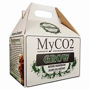 Image result for Mushroom Packaging Boxes