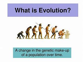 Image result for Evolution PPT