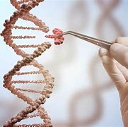 Image result for Genetic Engineering