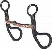 Image result for Western Horse Training Bits