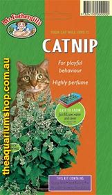 Image result for Catnip Food