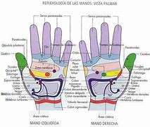 Image result for Puntos De Acupresion