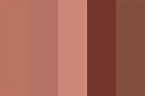 Image result for Light Pink and Brown