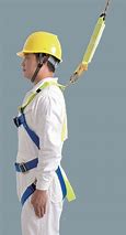 Image result for Body Harness Work