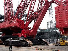 Image result for Weirdest Crane in the World