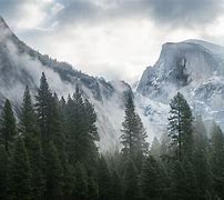 Image result for Nature Screensavers for Apple TV