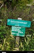 Image result for Netherlands Nature Darthuizen