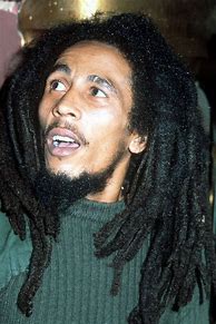 Image result for Bob Marley Beard