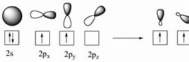 Image result for SP2 vs Sp3 Hybridization