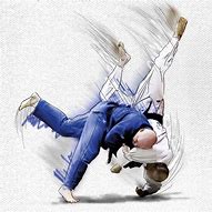 Image result for Judo Art