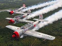 Image result for aerost�ticl