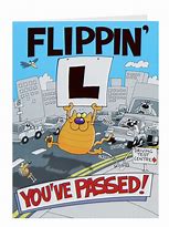 Image result for Passing Driving Test Meme