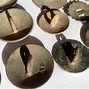 Image result for Vintage Quick Replacement Button
