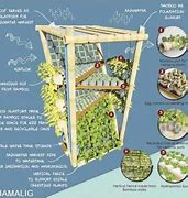 Image result for One Square Meter Garden Book