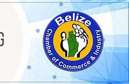 Image result for Website for Belizean Buisness
