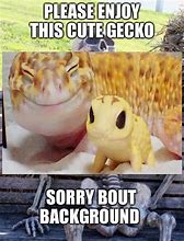 Image result for Leopard Gecko Memes