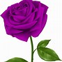 Image result for Free Transparent Purple Rose Clip Art