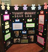 Image result for Third Grade Science Fair Projects