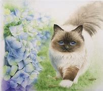 Image result for Color Pencil Pastel Drawing