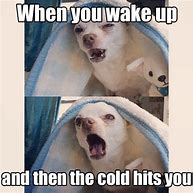 Image result for Winter Animal Meme