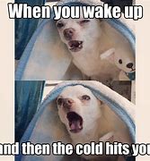 Image result for Funny Memes About Weather