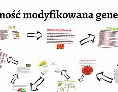 Image result for co_to_za_Żywność_modyfikowana_genetycznie