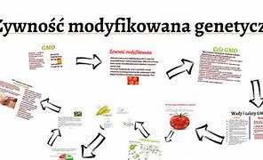 Image result for co_oznacza_Żywność_modyfikowana_genetycznie