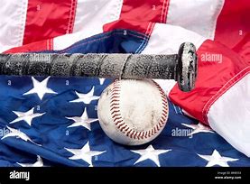 Image result for Baseball Bat American Flag