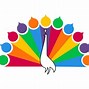 Image result for NBC Meaning