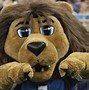 Image result for New Orleans Saints Mascot
