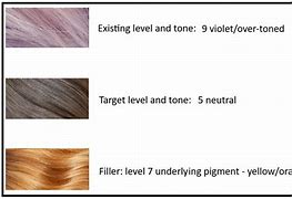 Image result for Tint Levels Color