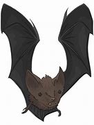 Image result for Little Brown Bat Clip Art