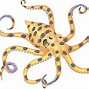 Image result for Blue Ring Octopus Clip Art