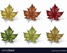 Image result for Six Leaf Icon