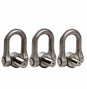 Image result for Double Shackle Swivel Stainless Steel Hook