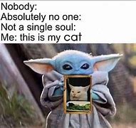 Image result for Yoda Cat Meme