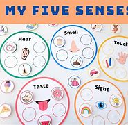 Image result for 5 Senses Theme Chart