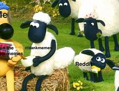 Image result for Meme About Shaun
