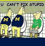 Image result for Michigan Memes About MSU