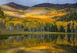 Image result for Fish Lake