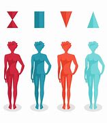 Image result for Woman Body Shape