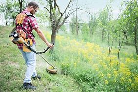 Image result for Brush Cutter Cartoon